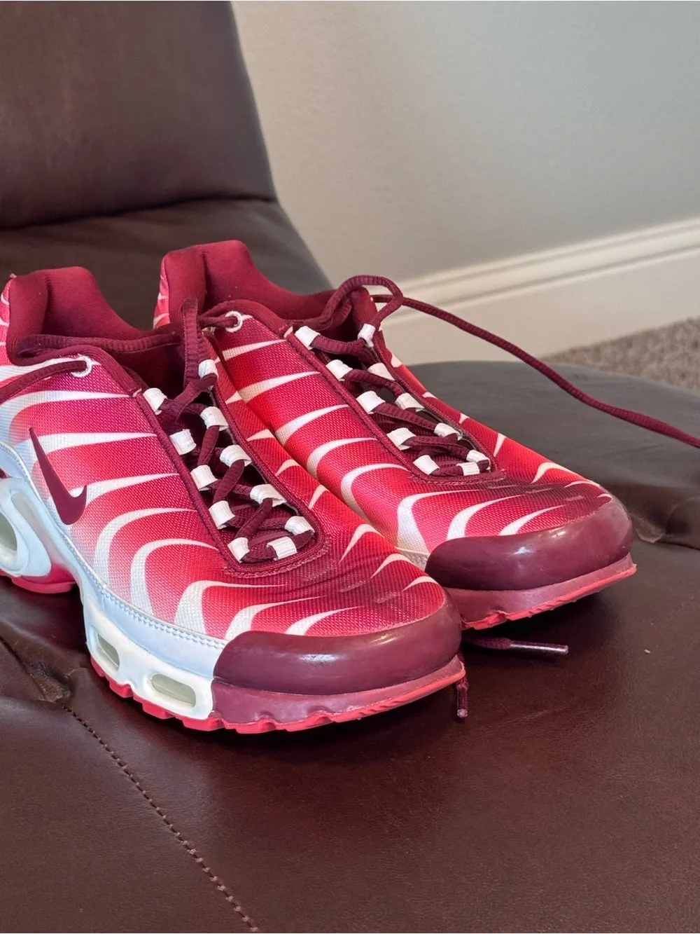 Nike Air Max Plus “After the Bite” Red and Burgundy Sneakers 40.5 EUR/US 7.5